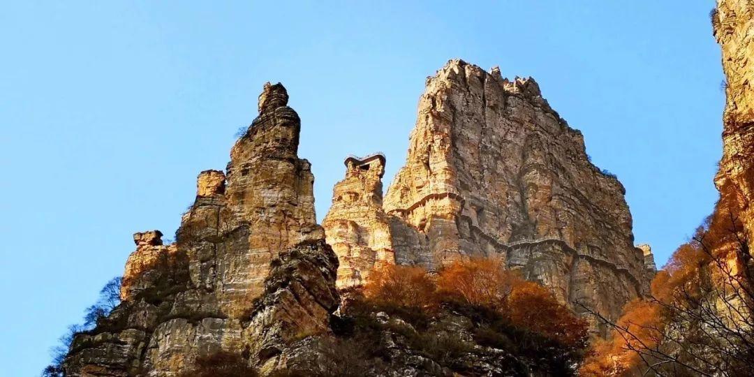 过来人口中的“大怨种”专业,曾经的文科热门,现在却成“天坑”