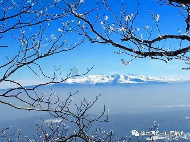 次元喵