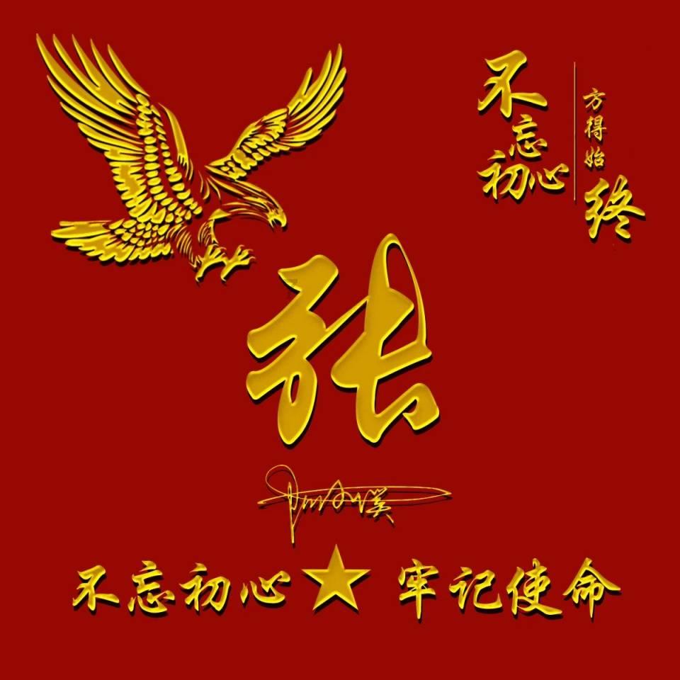春运第一线，海南海口：客滚轮渡迎来大批旅客