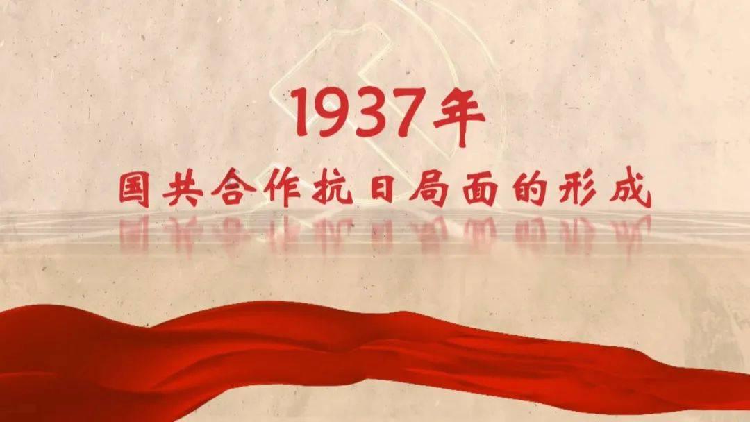 探探猫宝石岛
