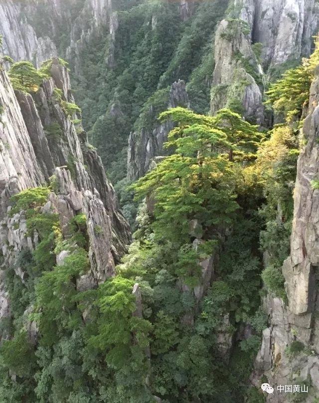 大型警车找轮胎