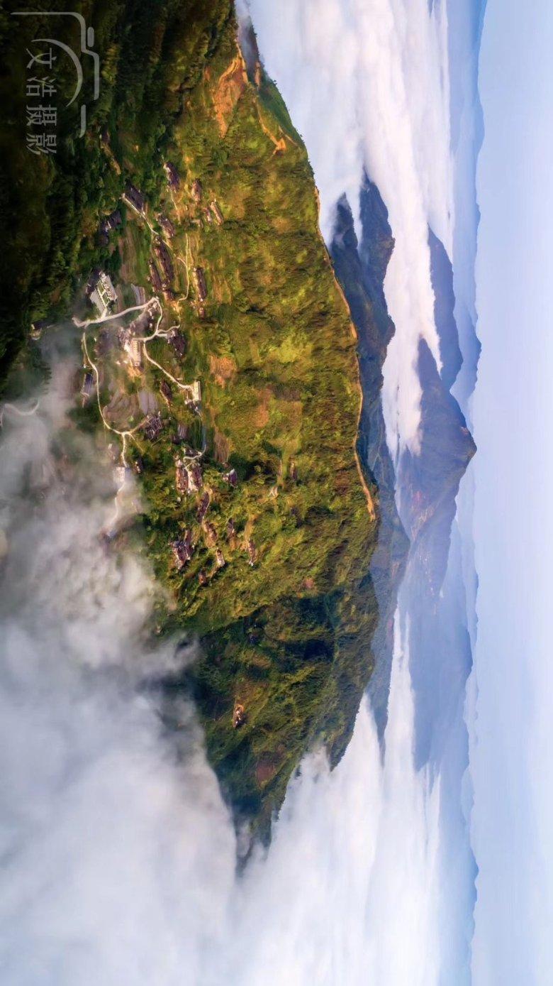 沪江开心词场