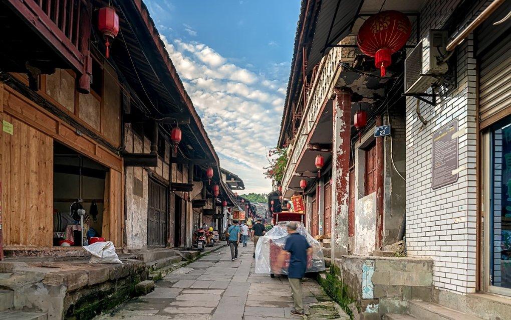 救援可爱小松鼠