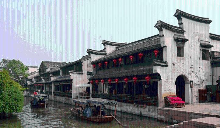 动物帮帮忙保卫家园