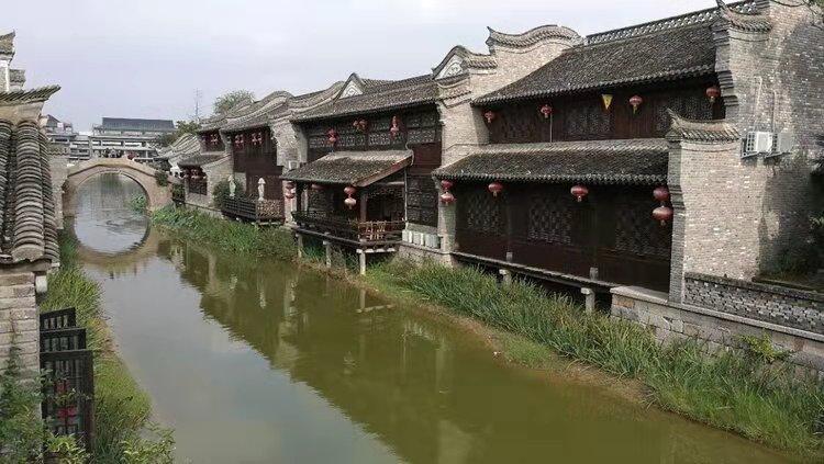 救援袋鼬